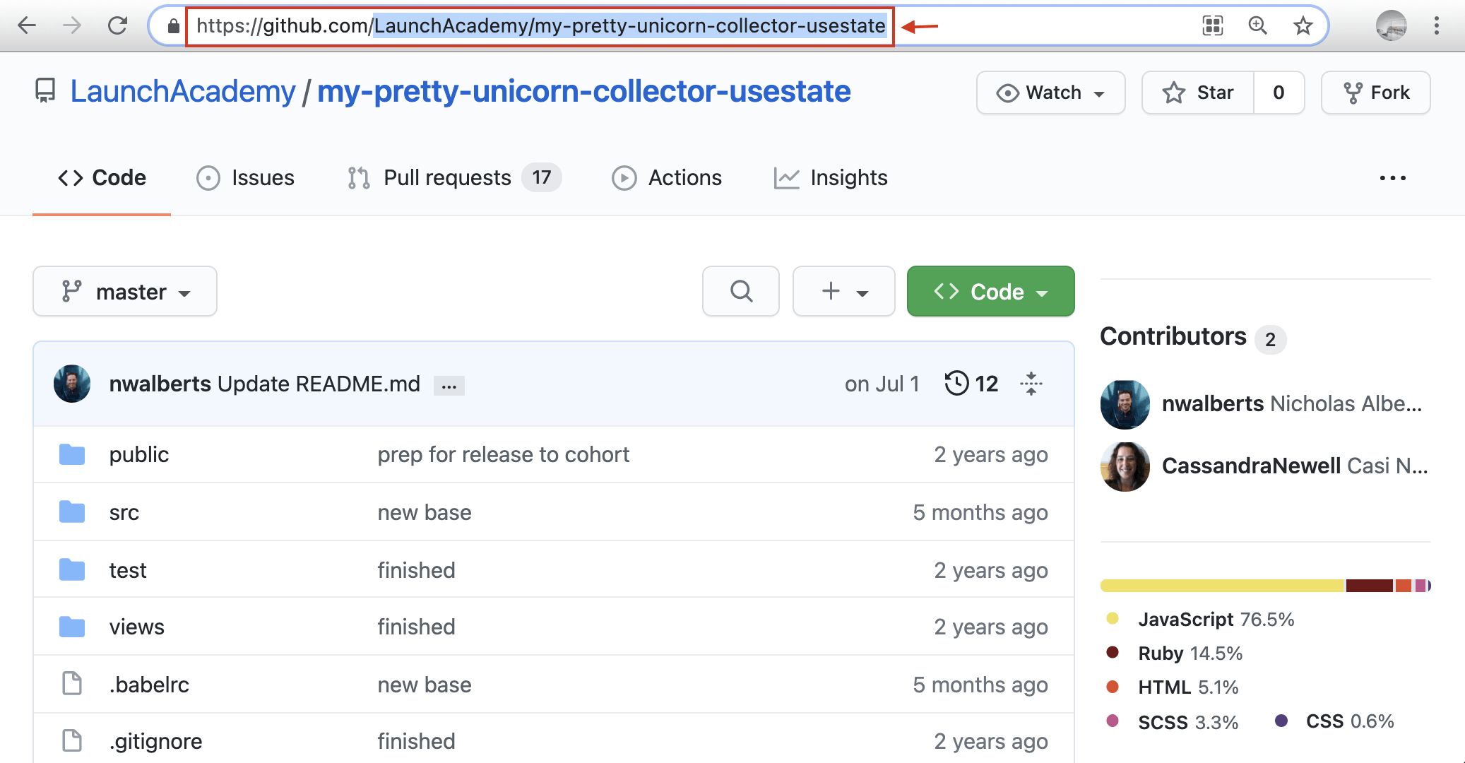 Public GitHub Repository